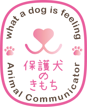 保護犬のきもち
