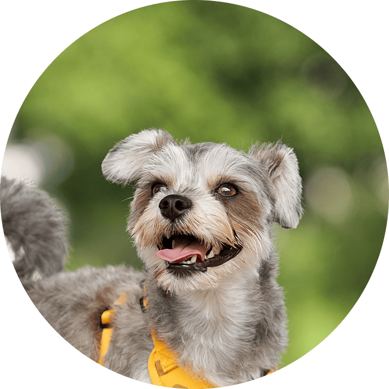 動物さんの
気になる行動について