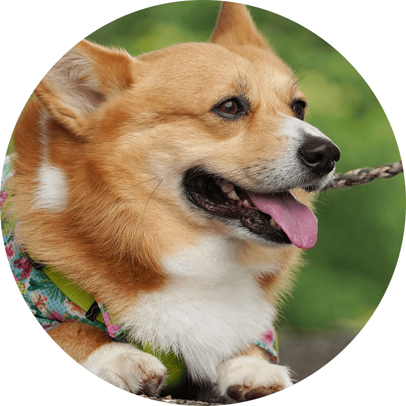 家族へのメッセージ