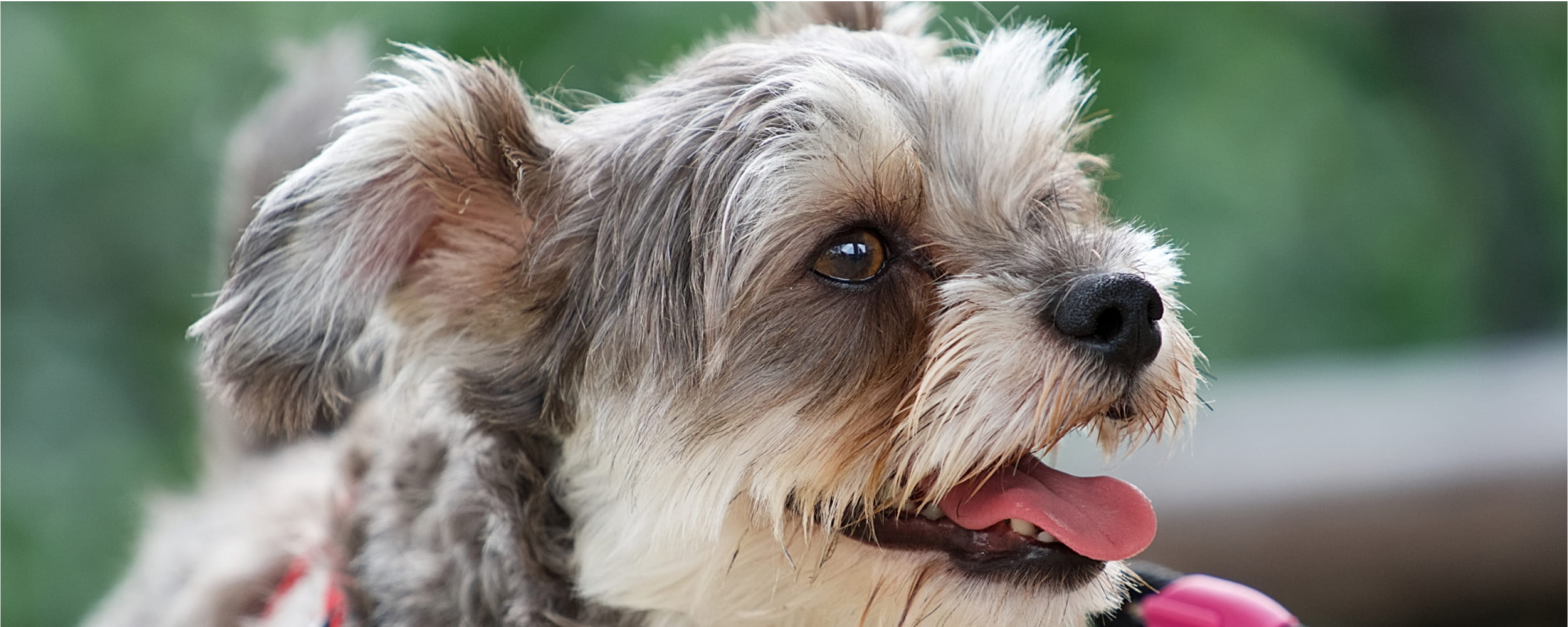 セッション内容