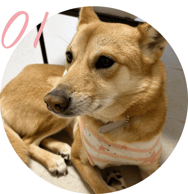 今、どんな気持ちで過ごしているのか