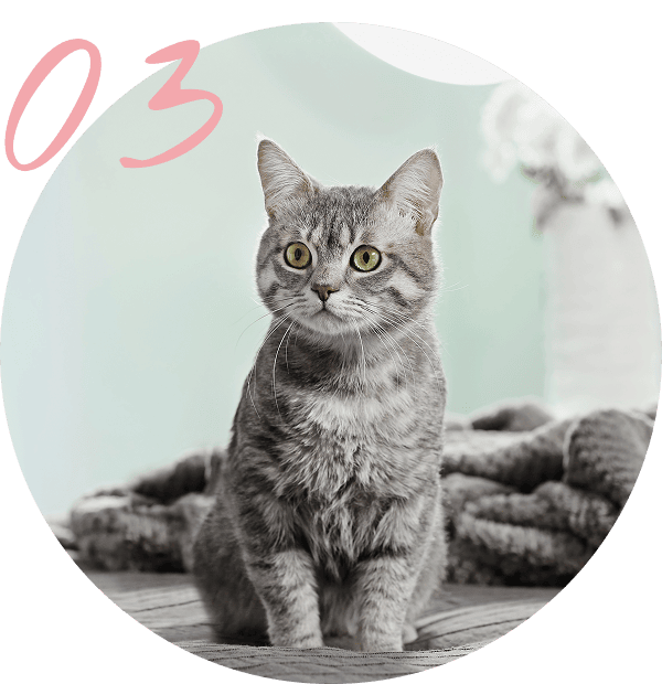 過去に経験したことや、癒えない感情