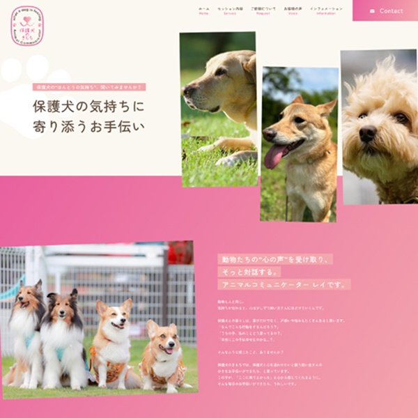 ホームページを公開いたしました